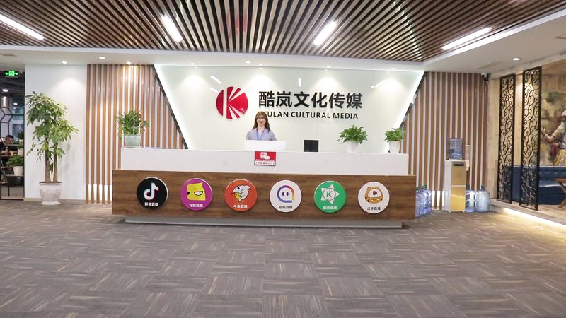 宣传片拍摄风格与类型解析：揭秘制作背后的秘密
