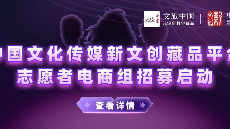 上海媒介投放预算分配：策略与考量
